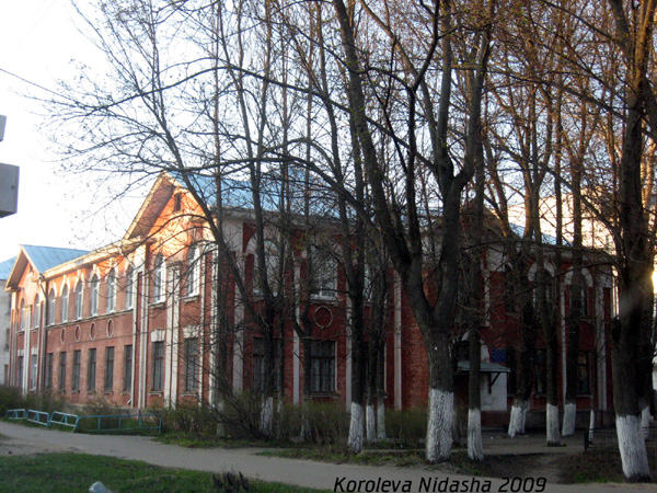Собинская детская библиотека-филиал №2 в Собинском районе Владимирской области фото vgv