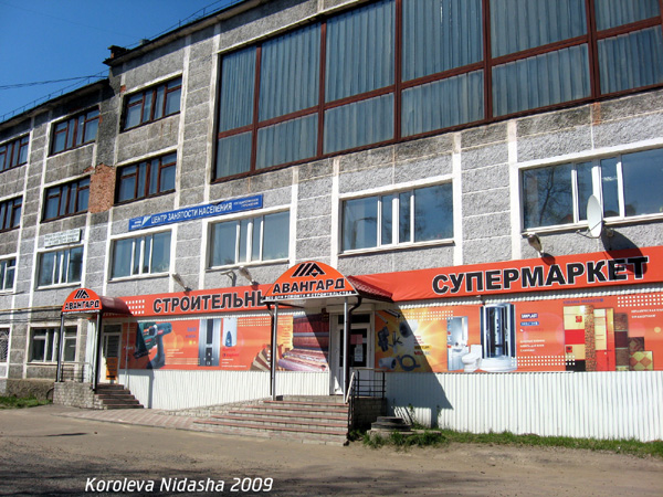 Строительный супермаркет Авангард в Собинском районе Владимирской области фото vgv