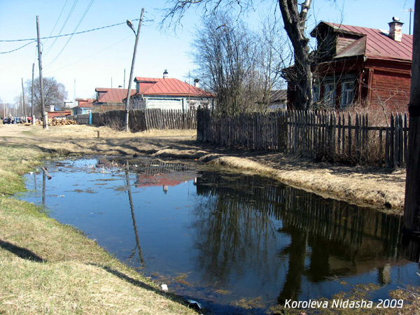 пруд у дома 16 по ул. 8-го Марта в Собинском районе Владимирской области фото vgv