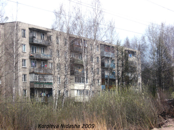 город Собинка Мира улица 11 в Собинском районе Владимирской области фото vgv