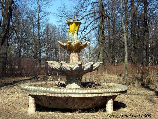 Воробьиный фонтан в Собинском районе Владимирской области фото vgv