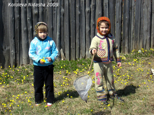 А мы бабочек ловим в Собинском районе Владимирской области фото vgv