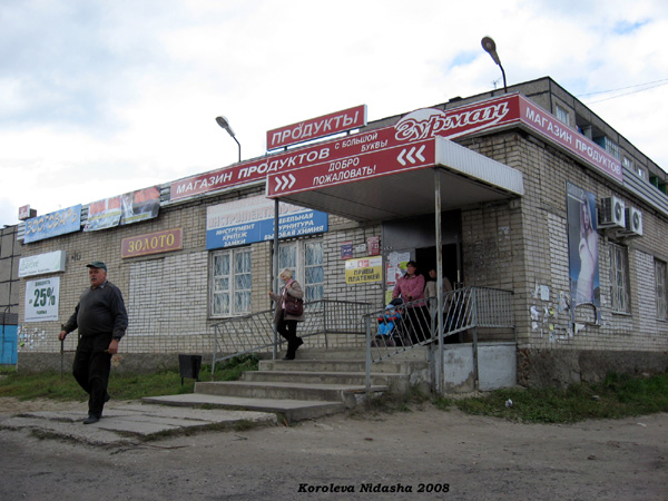 магазин продуктов Гурман на Лермонтова 40 в Лакинске в Собинском районе Владимирской области фото vgv