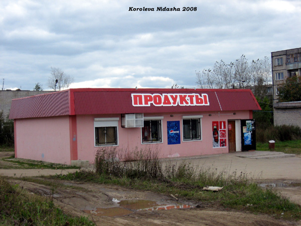 магазин Продукты в Лакинске на Лермонтова 45а в Собинском районе Владимирской области фото vgv
