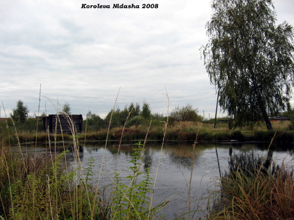пруд на улице Лесной в Лакинске в Собинском районе Владимирской области фото vgv