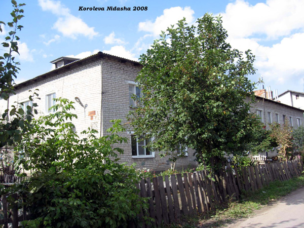 город Лакинск Мира улица 93 в Собинском районе Владимирской области фото vgv