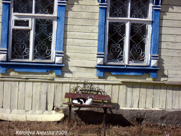 Барышня на солнышке в Собинском районе Владимирской области фото vgv