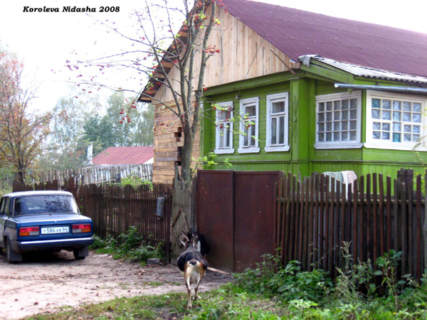 Дереза в Собинском районе Владимирской области фото vgv