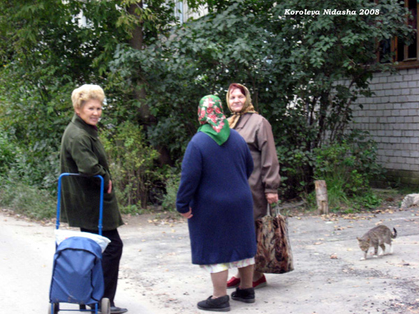 Жильцы дома на прогулке в Собинском районе Владимирской области фото vgv