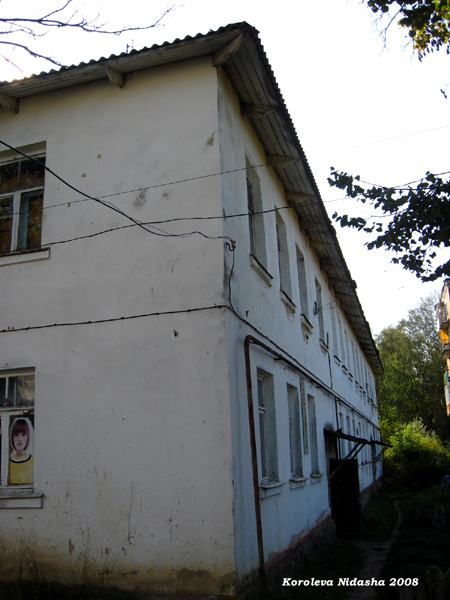 Общительный житель дома 1 по ул. Спортивной в Собинском районе Владимирской области фото vgv