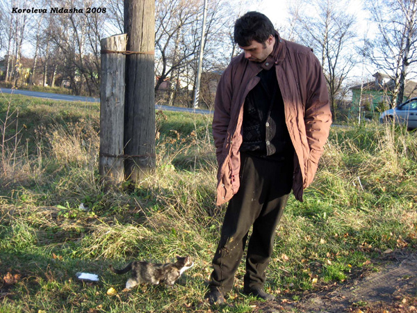 Идут кошки по дорожке, потереть о брюки ножки в Собинском районе Владимирской области фото vgv