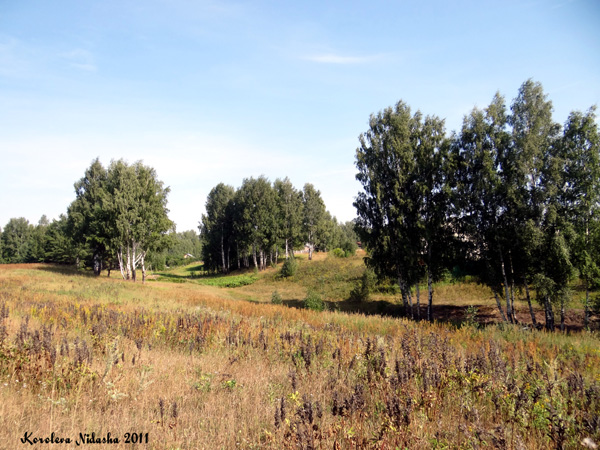 Лес в окрестностях д.Мещера в Собинском районе Владимирской области фото vgv