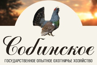 Собиновское государственное опытное охотничье хозяйство в Собинском районе Владимирской области фото vgv