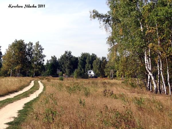 Ремни деревня в Собинском районе Владимирской области фото vgv
