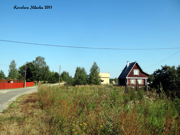 Тонковижа деревня в Собинском районе Владимирской области фото vgv