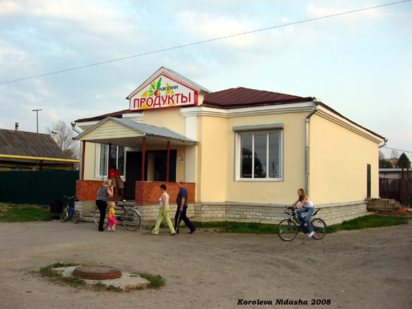 магазин Продукты на Горького 16 в Судогодском районе Владимирской области фото vgv