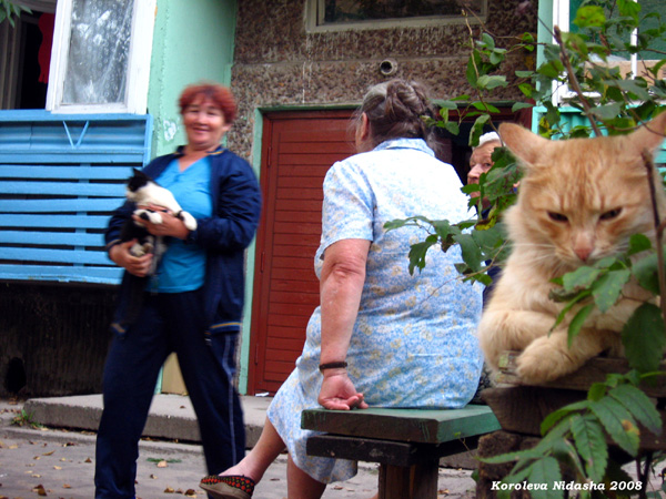 соседки на прогулке август 2008г. в Судогодском районе Владимирской области фото vgv