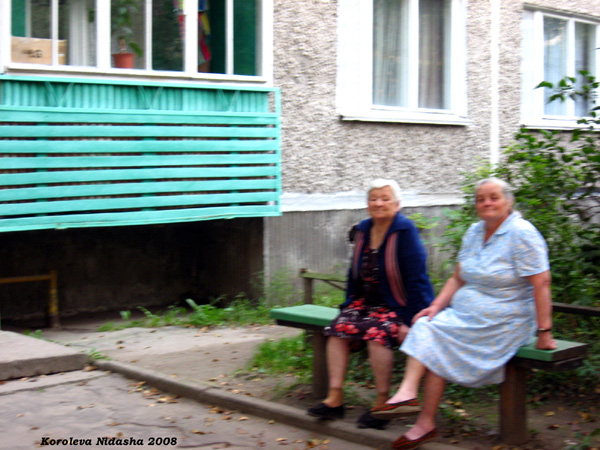соседки на прогулке август 2008г. в Судогодском районе Владимирской области фото vgv
