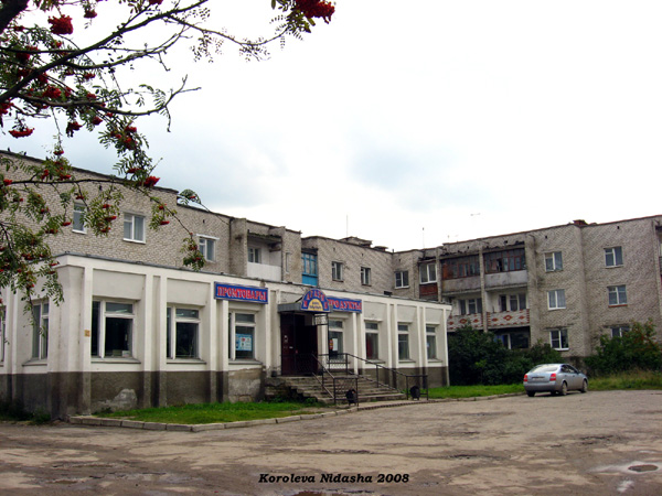 город Судогда Ленина улица 61 в Судогодском районе Владимирской области фото vgv