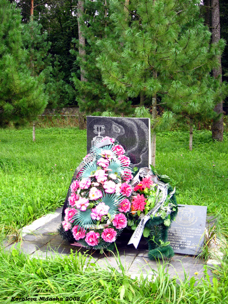 Памятник Судогодцам, ликвидировавшим последствия катастрофы на Чернобыльской АЭС в Судогодском районе Владимирской области фото vgv
