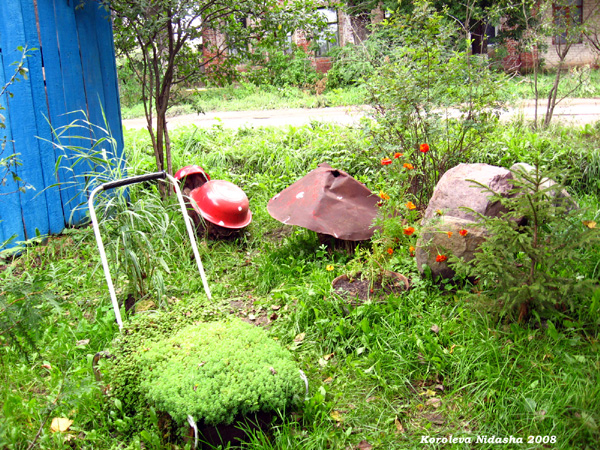 В огородце у своего дома на Карла Маркса 101 в Судогодском районе Владимирской области фото vgv