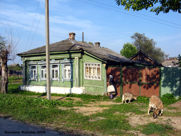На фоне своего дома 26 на Береговой улице в Судогодском районе Владимирской области фото vgv
