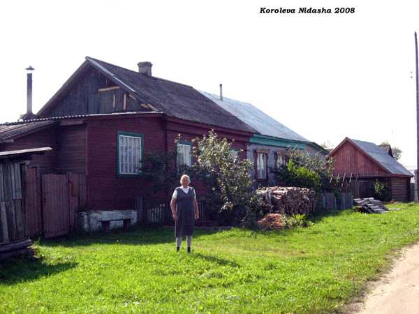 на фоне дома своего на улице Мира 2 в Судогодском районе Владимирской области фото vgv