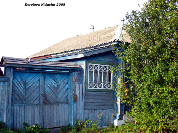 Киса на крыше в Судогодском районе Владимирской области фото vgv