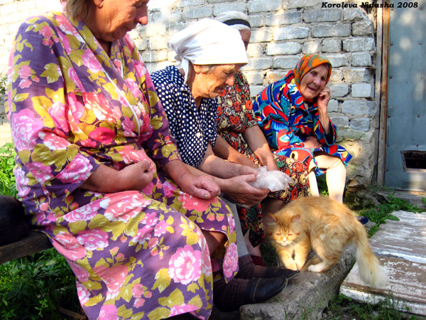 Бабушки на лавочке в Судогодском районе Владимирской области фото vgv
