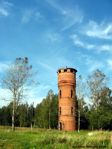 Башня в Судогодском районе Владимирской области фото vgv