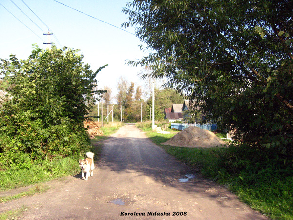 город Судогда Фрунзе улица в Судогодском районе Владимирской области фото vgv