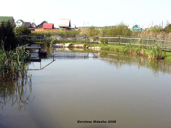 пруд у дома 24 на ул. Фрунзе в Судогодском районе Владимирской области фото vgv