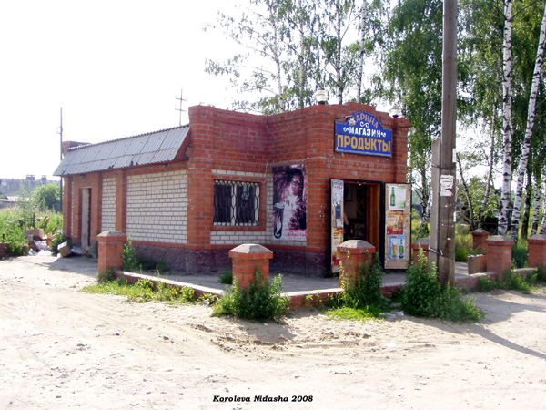 магазин Карина деревня Бараки в Судогодском районе Владимирской области фото vgv