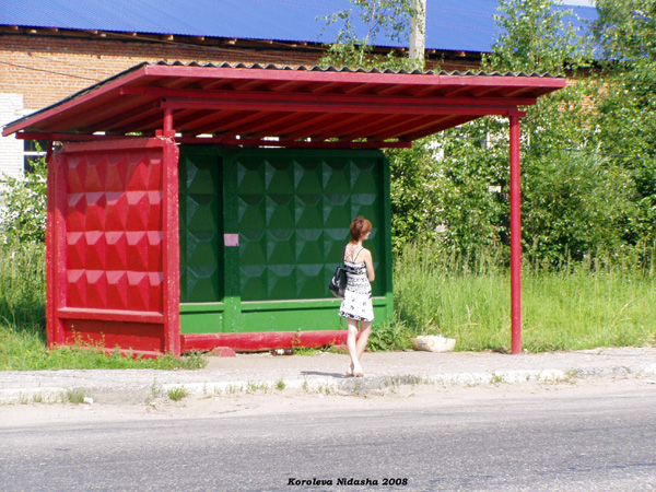 автобусная остановка в деревне Бараки на ул. Советской в Судогодском районе Владимирской области фото vgv