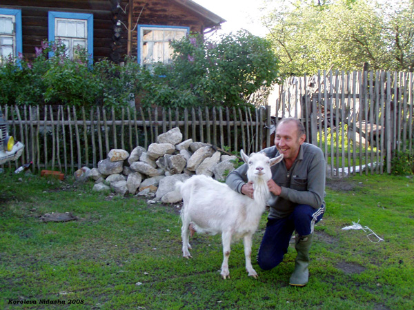 Самая свободная коза д.Маслово, хочет ест, хочет спит. в Судогодском районе Владимирской области фото vgv