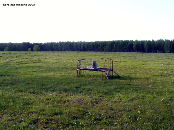 Стоит во поле кроватка, спать на ней наверно сладко в Судогодском районе Владимирской области фото vgv