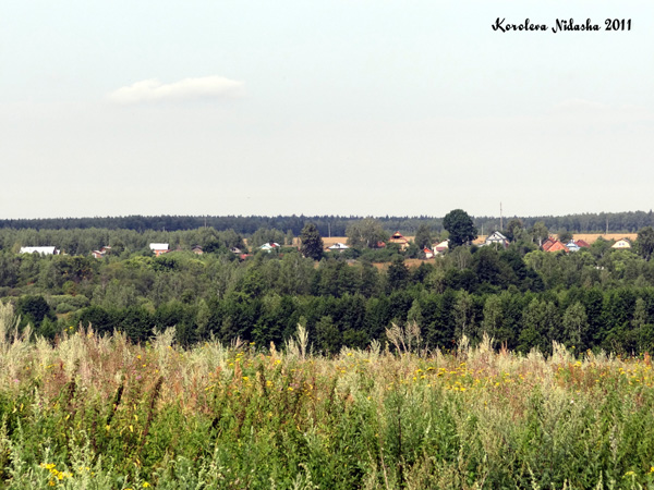 Митрошино деревня в Судогодском районе Владимирской области фото vgv