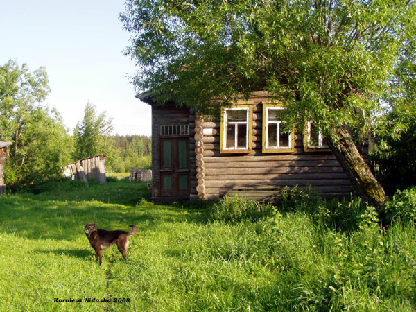 Натальинка деревня в Судогодском районе Владимирской области фото vgv