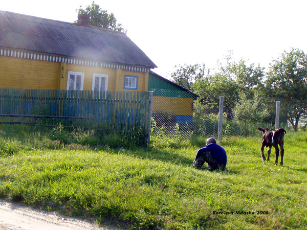 Натальинка деревня в Судогодском районе Владимирской области фото vgv