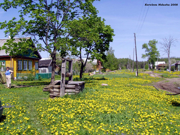 деревня Богданцево в Судогодском районе Владимирской области фото vgv