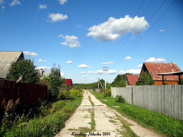 Турово деревня в Судогодском районе Владимирской области фото vgv