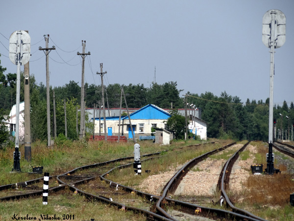 Станция Улыбышево в Судогодском районе Владимирской области фото vgv