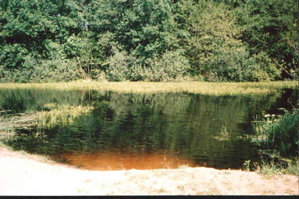 Озеро у турбазы Улыбышево в Судогодском районе Владимирской области фото vgv