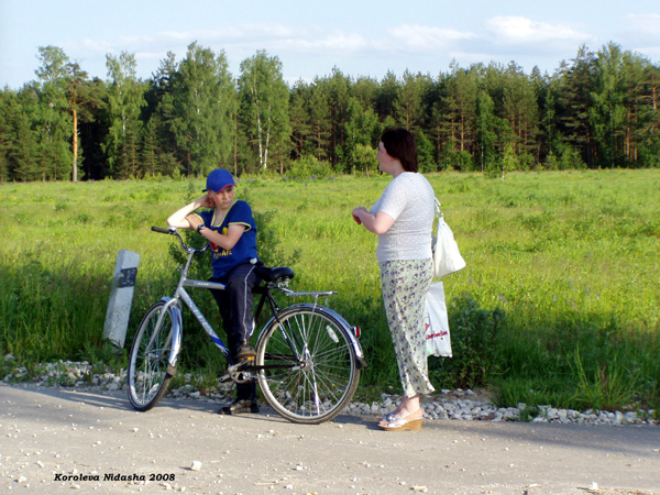 на автобусной остановке у д. Аксеново (июнь 2008) в Судогодском районе Владимирской области фото vgv