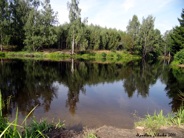 Озеро у д. Черепово в Судогодском районе Владимирской области фото vgv