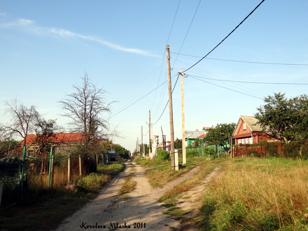 Верхняя Занинка деревня в Судогодском районе Владимирской области фото vgv