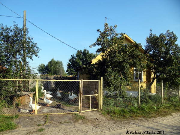 Верхняя Занинка деревня 10б в Судогодском районе Владимирской области фото vgv