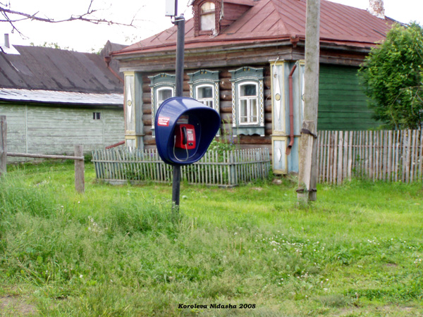 таксофон в деревне Даниловка в Судогодском районе Владимирской области фото vgv