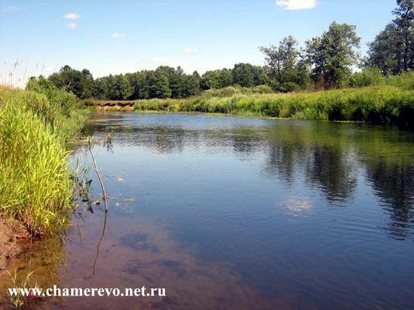 река Судогда у д. Дорофеево в Судогодском районе Владимирской области фото vgv