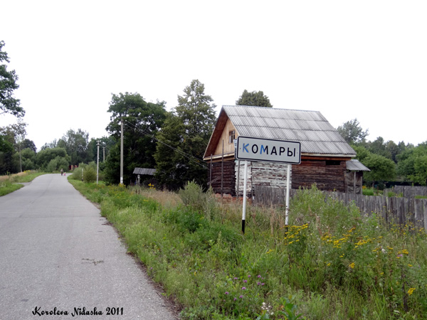 Комары деревня в Судогодском районе Владимирской области фото vgv